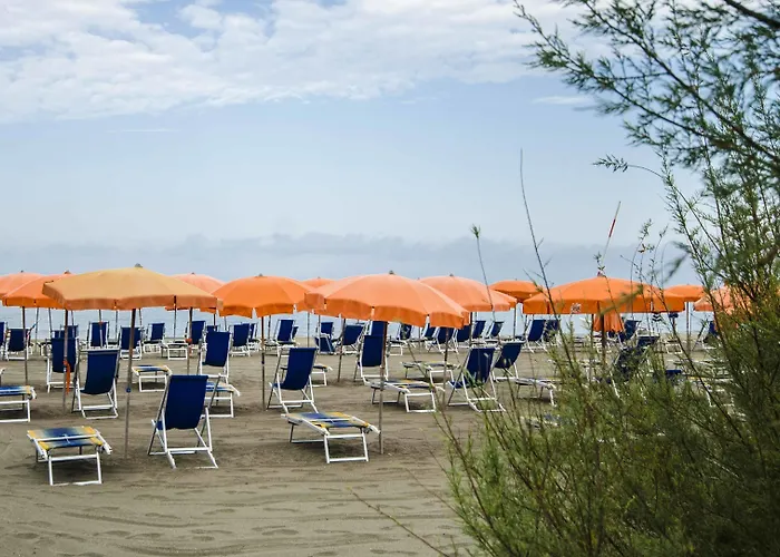 赫利俄斯大酒店 酒店 塔尔奎尼亚