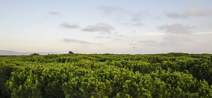 赫利俄斯大酒店 酒店